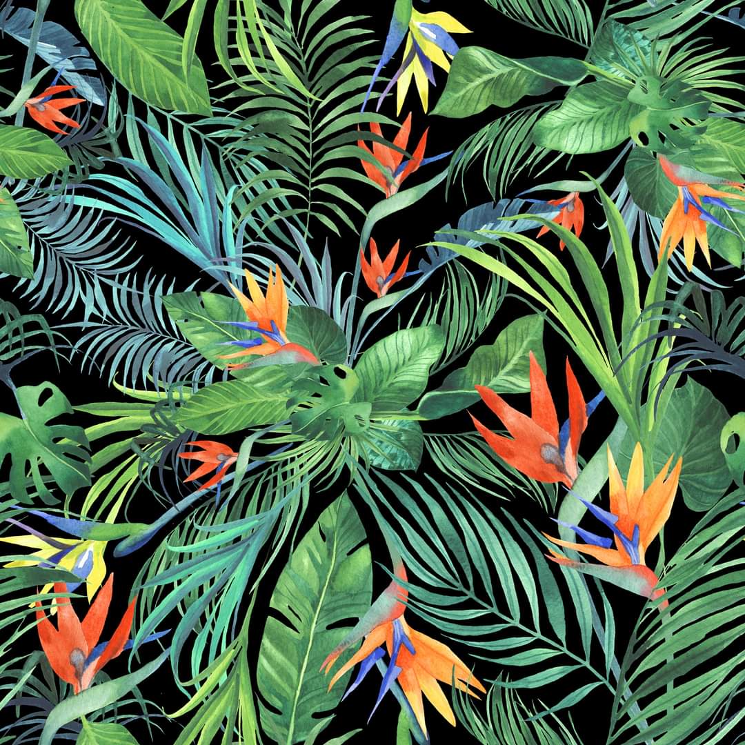 Tropical On Black capris with pockets