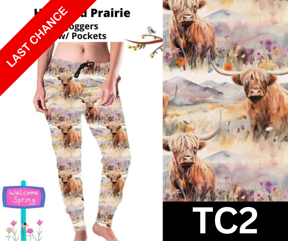 Highland Prairie Joggers