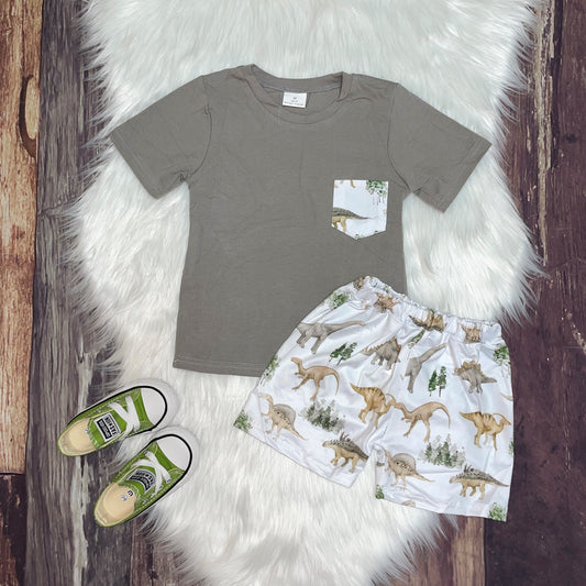 Dinosaur Pocket Tee And Shorts