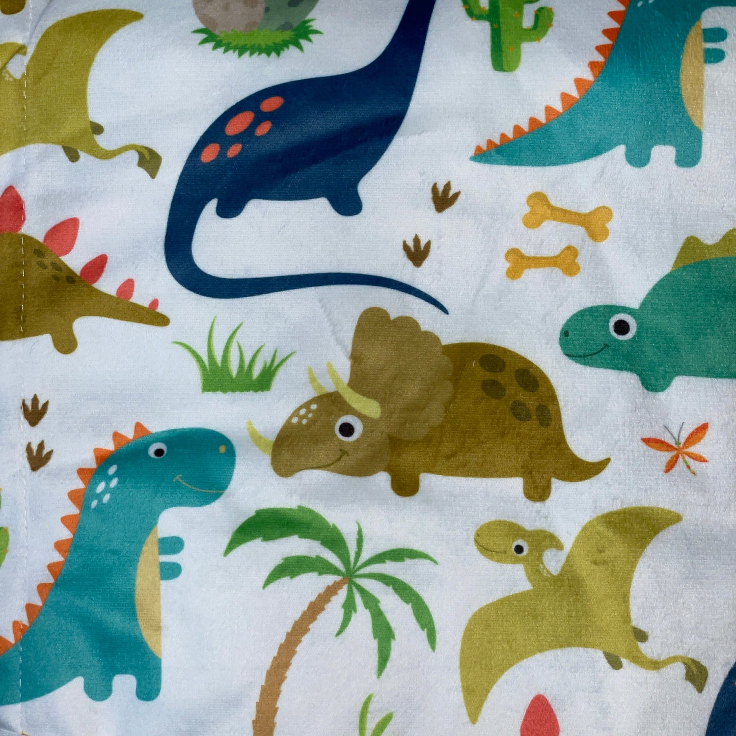 Minky Dot Plush Baby Blanket - Dinosaurs