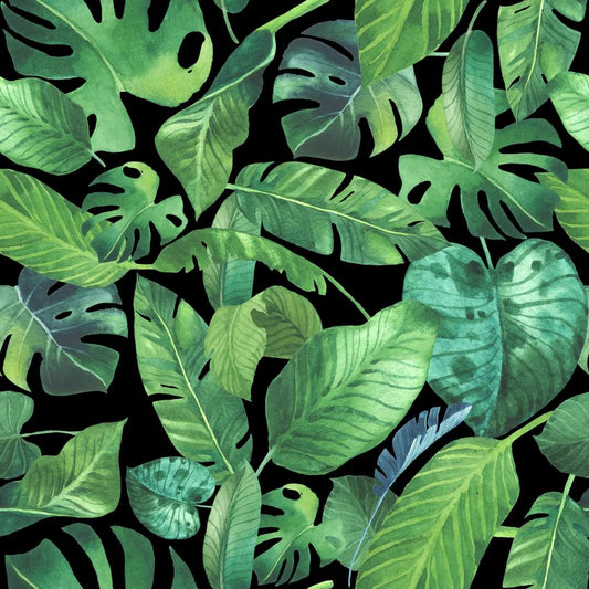 Monstera capris