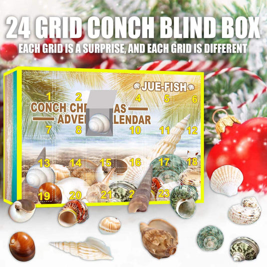 Conch Advent Calendar