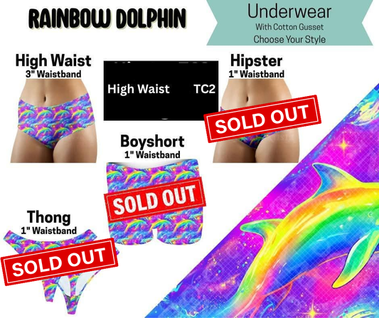 Rainbow Dolphin High Waist Underwear